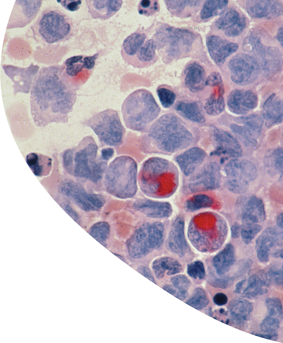 Research Partnership